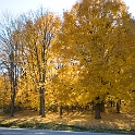 Scenery Montville Duchek 2129-2